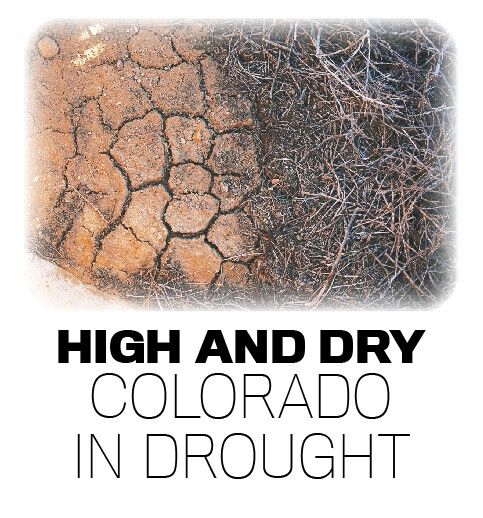 High and Dry Logo cx.jpg
